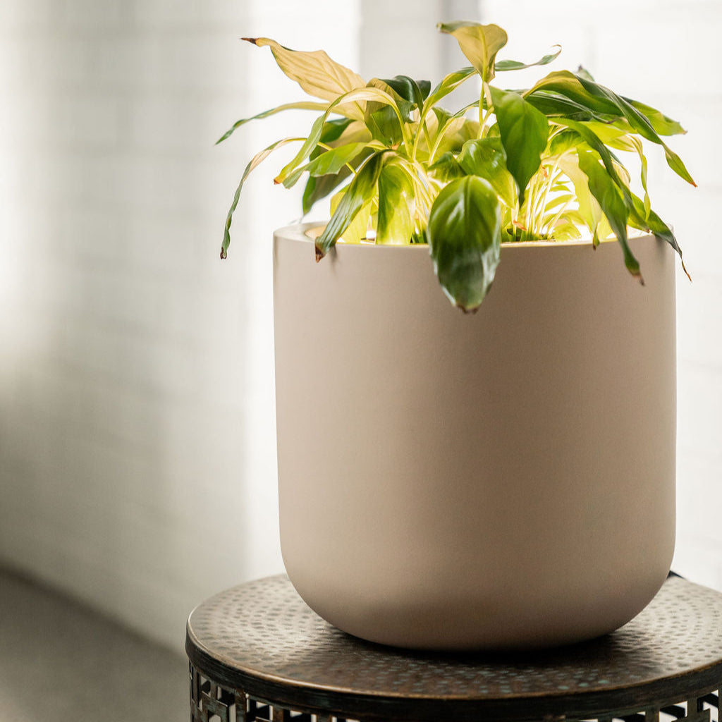 light up plant pots Mini Lume – Small LED Plant Pot (250mm) – Lumipot