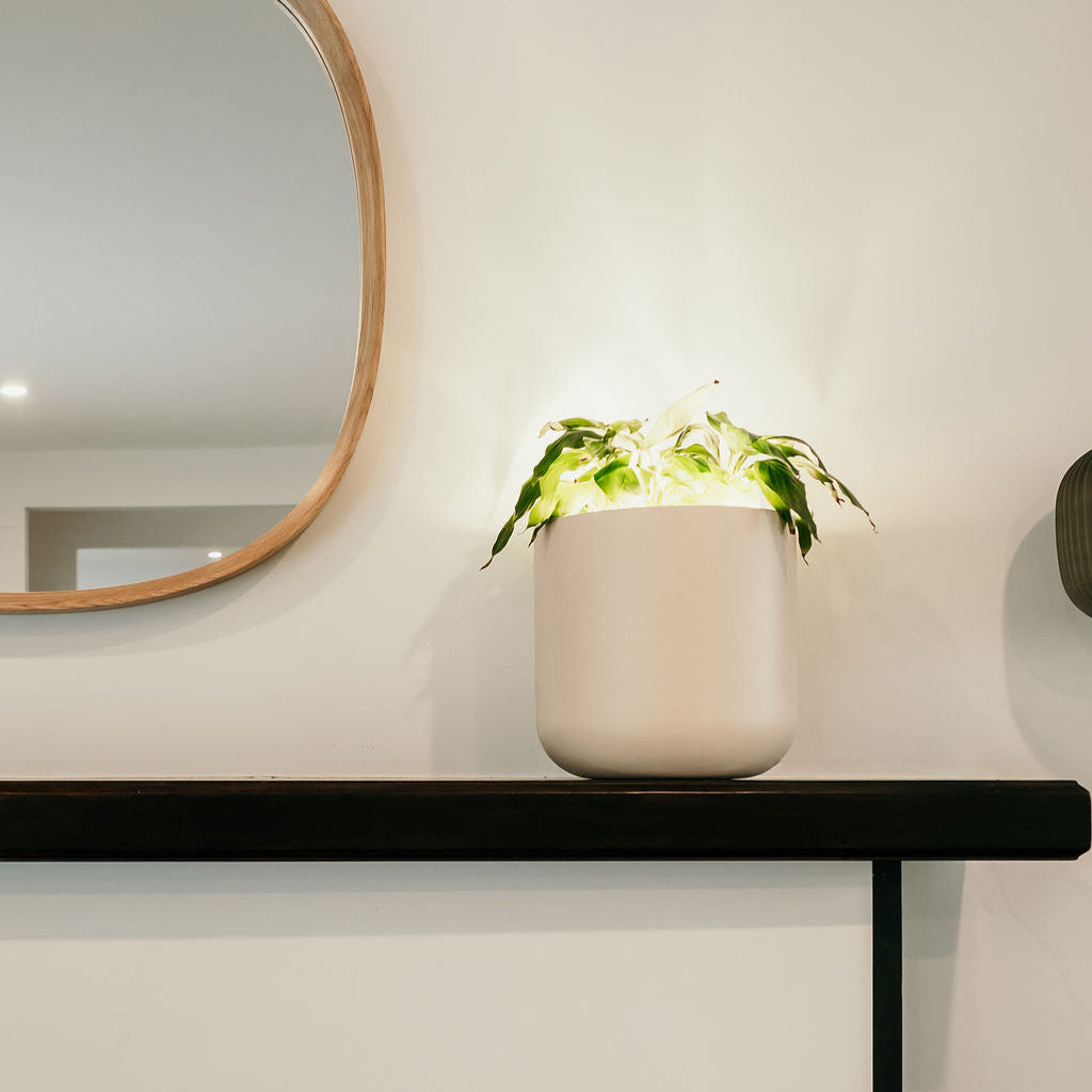 Mini Lume – Small LED Plant Pot (250mm)
