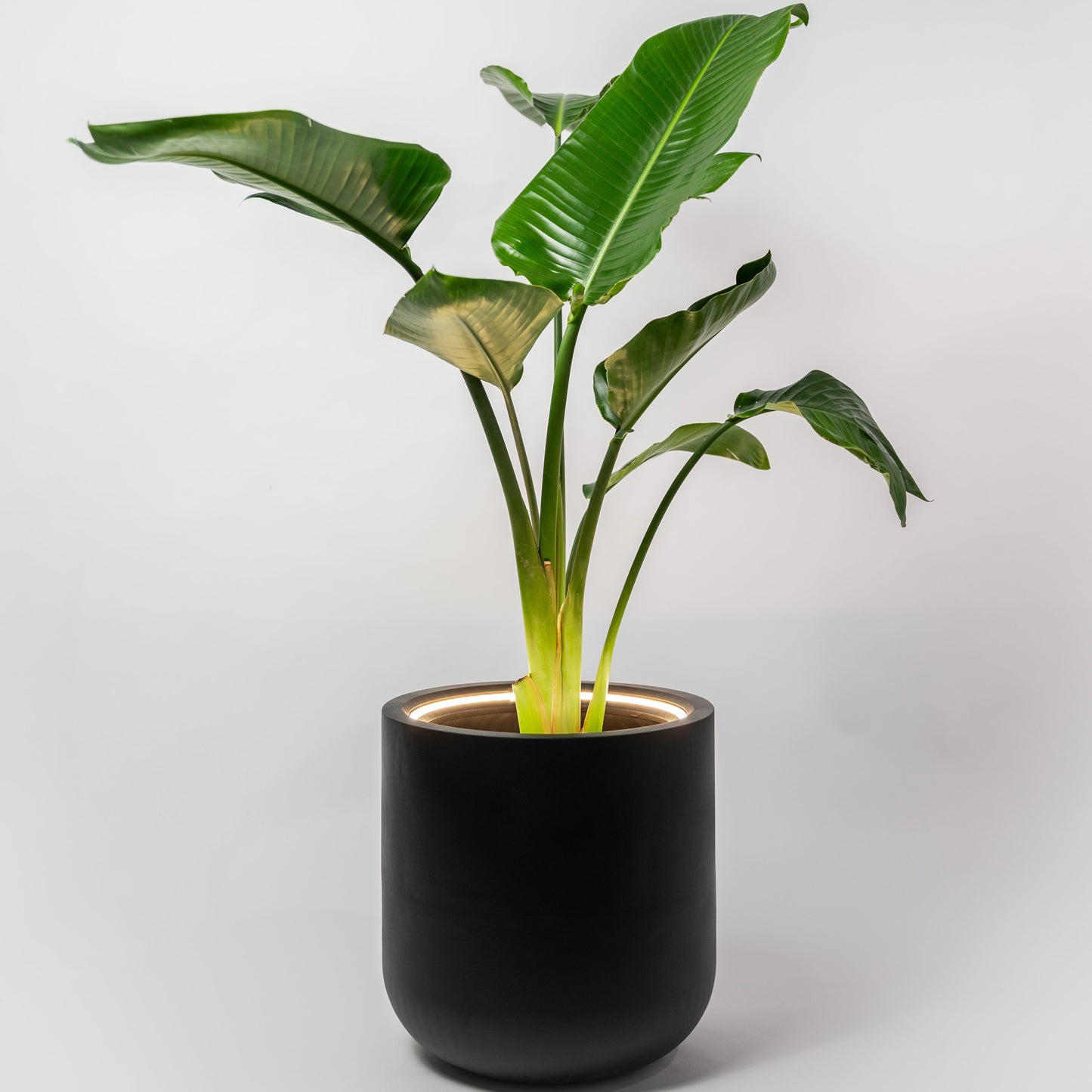 Midi Lume – Medium Decorative Planter with Light (410mm)
