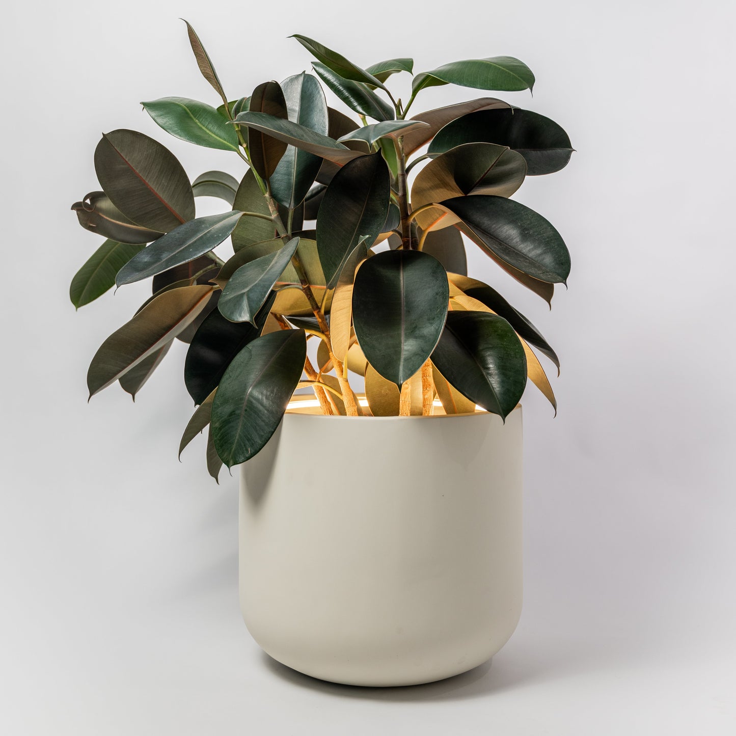 Midi Lume – Medium Decorative Planter with Light (410mm)