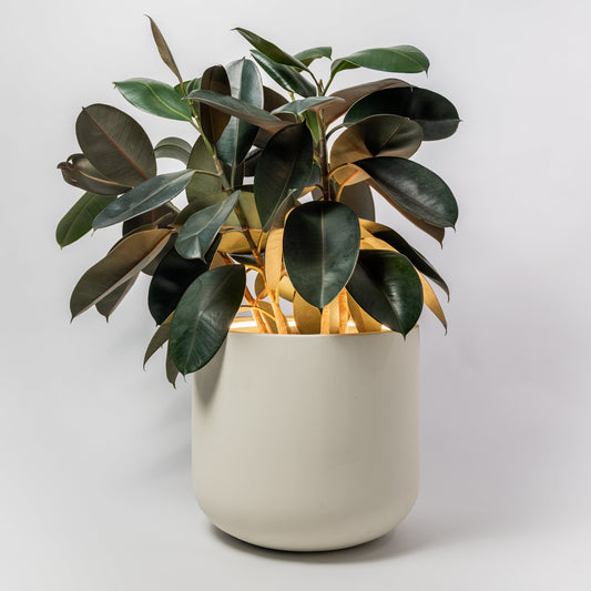 Midi Lume – Medium Decorative Planter with Light (410mm)