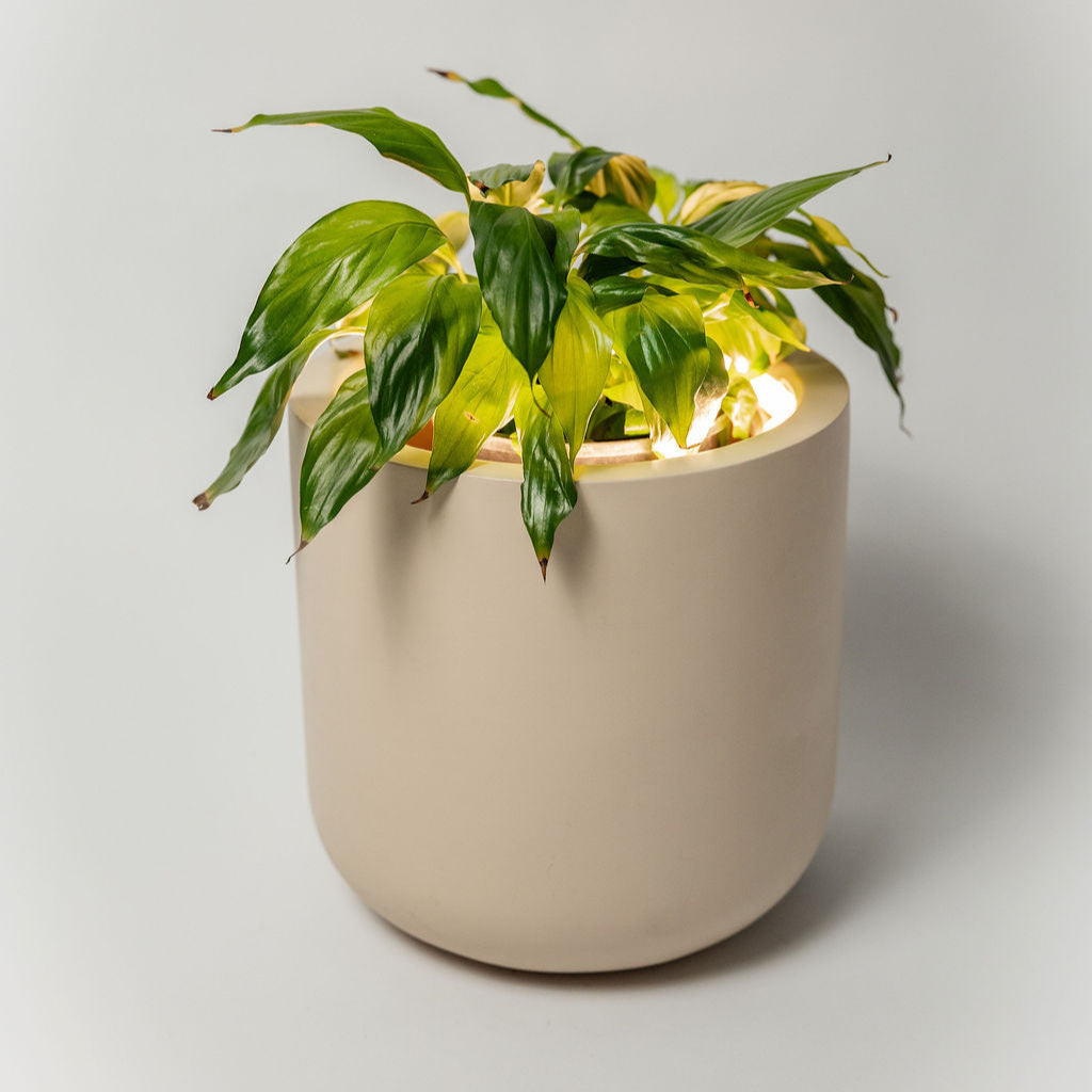 Mini Lume – Small LED Plant Pot (250mm)