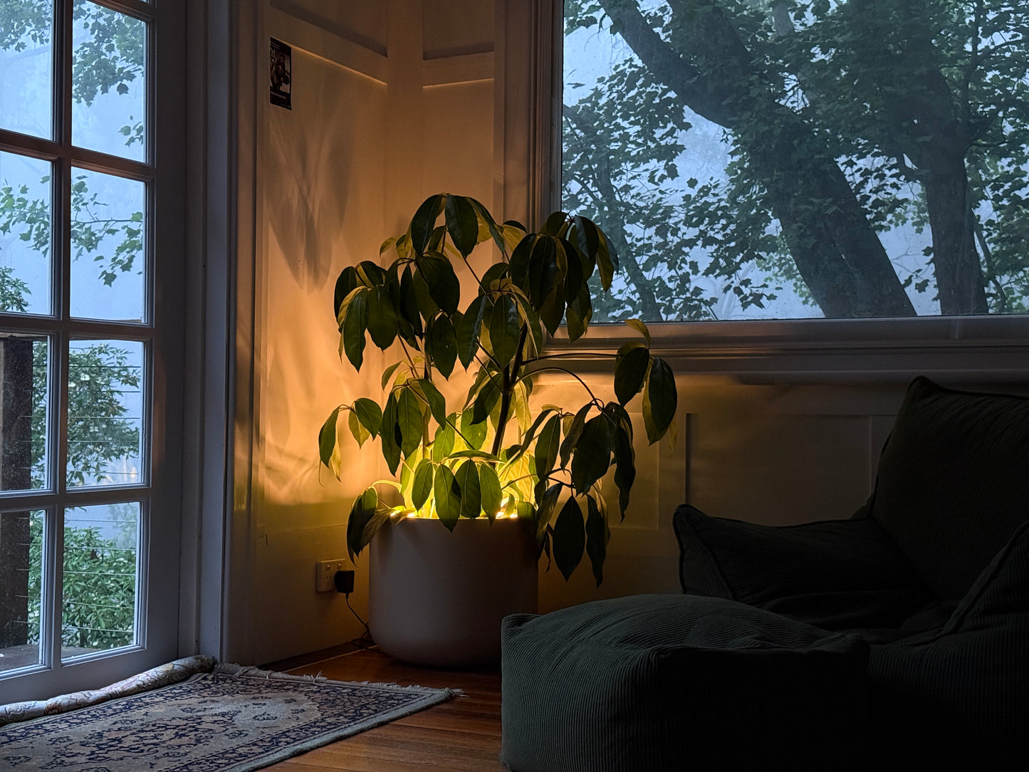 Midi Lume – Medium Decorative Planter with Light (410mm)